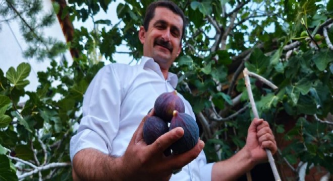 Bursa karası incirini Erzurum'da yetiştirdi